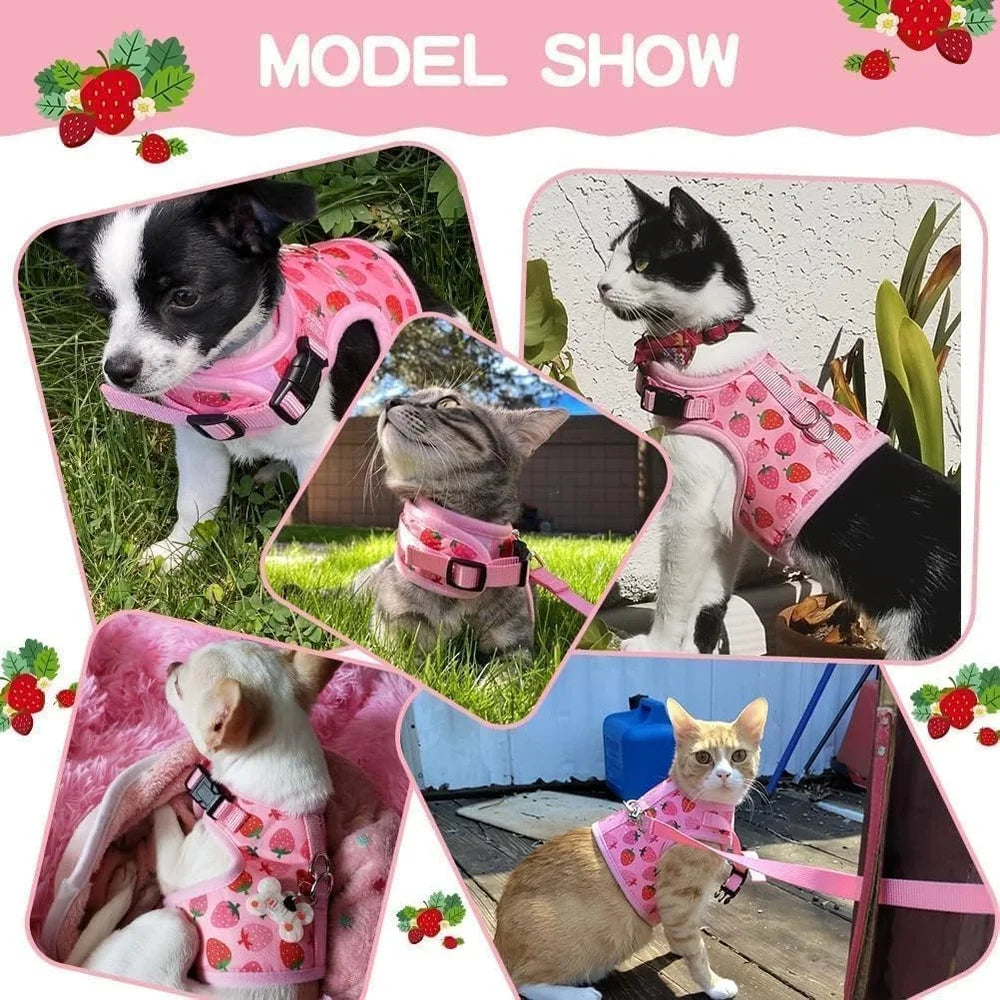 Paws Nation Escape Proof Cat Harness Breathable Mesh Leash