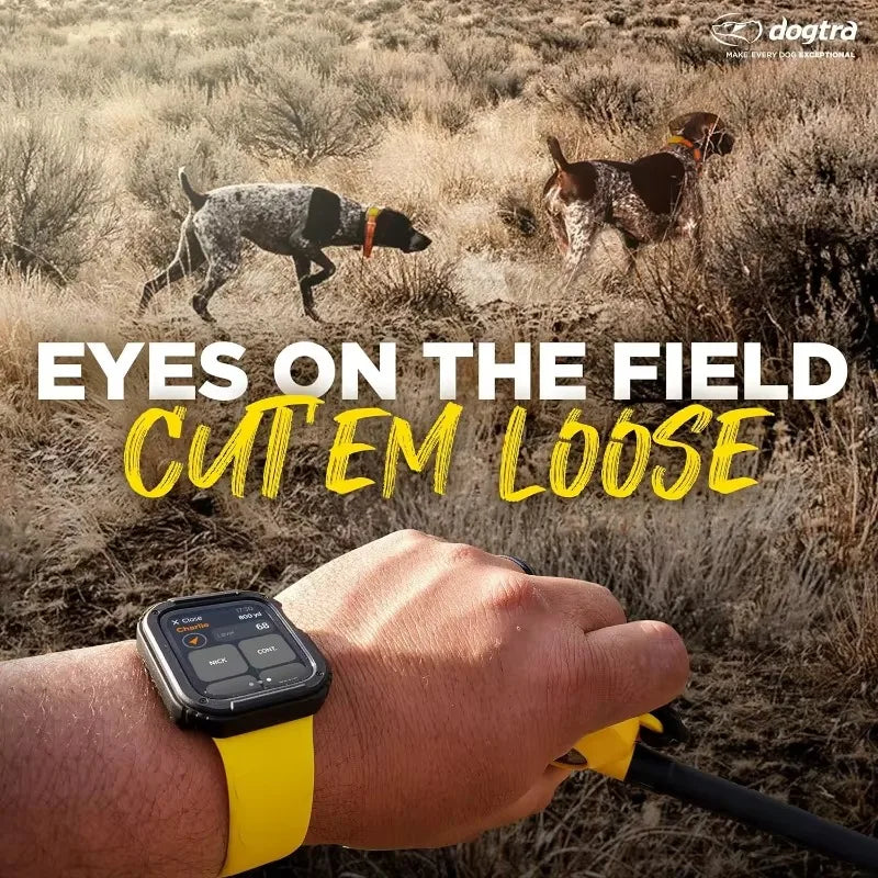 Dogtra Pathfinder 2 Hunting GPS Dog Training Collar