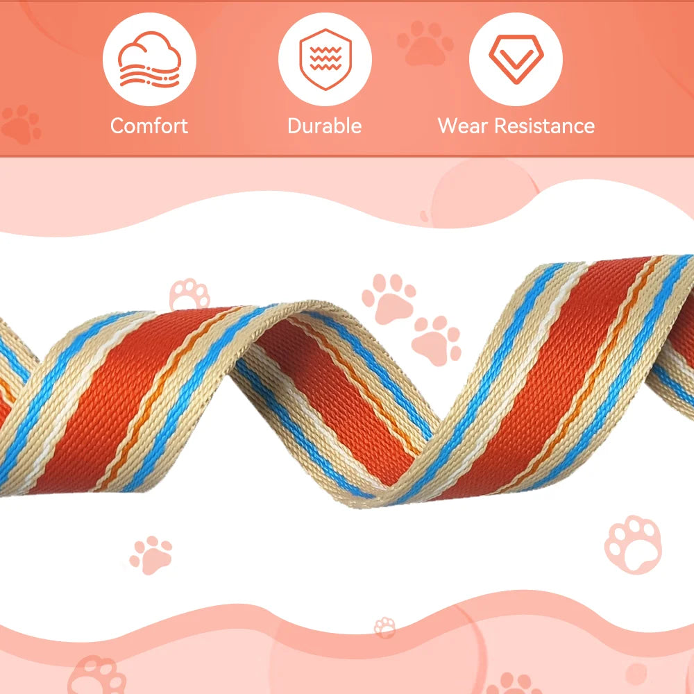 Zhejiang Adjustable Dog Collar And Retractable Leash Set