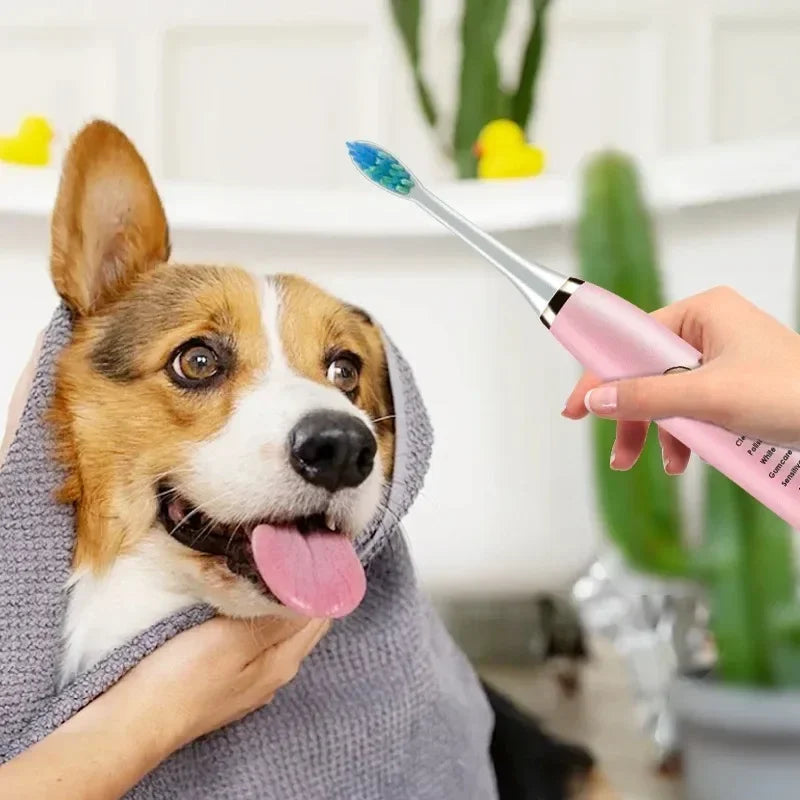 Hign-concerned USB Electric Pet Toothbrush with Brush Head