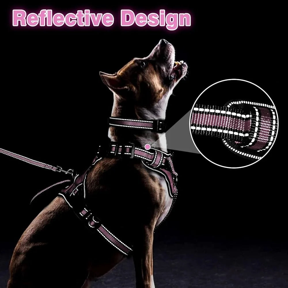 Paws Nation Reflective No Pull Harness Leash Set For Dogs