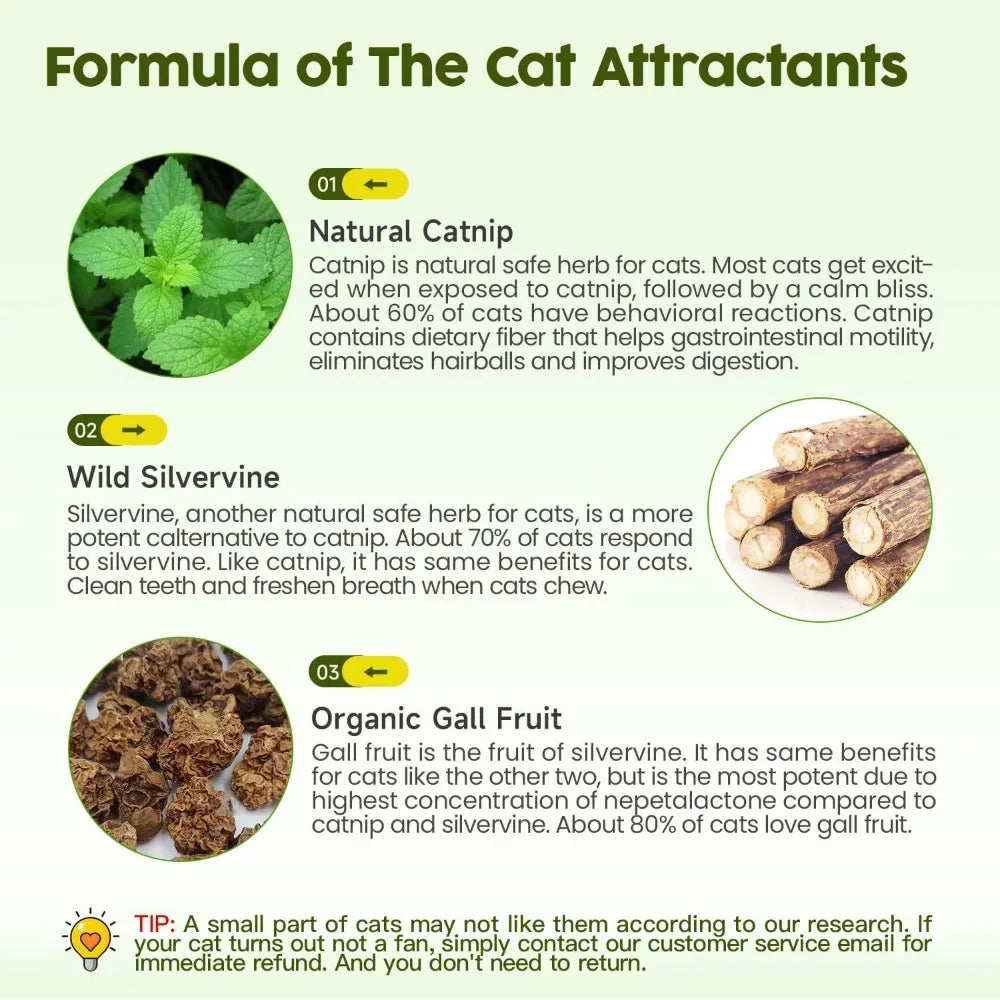 Catnip Toys Pack Three Pieces Silvervine Stick Cage And Bell Balls For Indoor Cats Teeth Cleaning