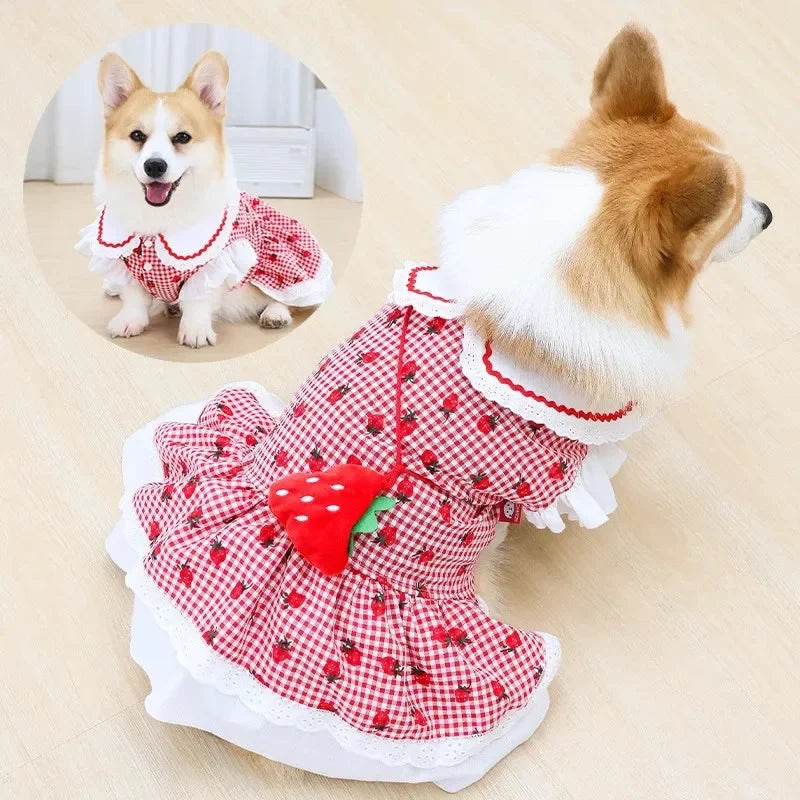 Elfidog Strawberry Dress For Dogs Cute Plaid Summer Apparel