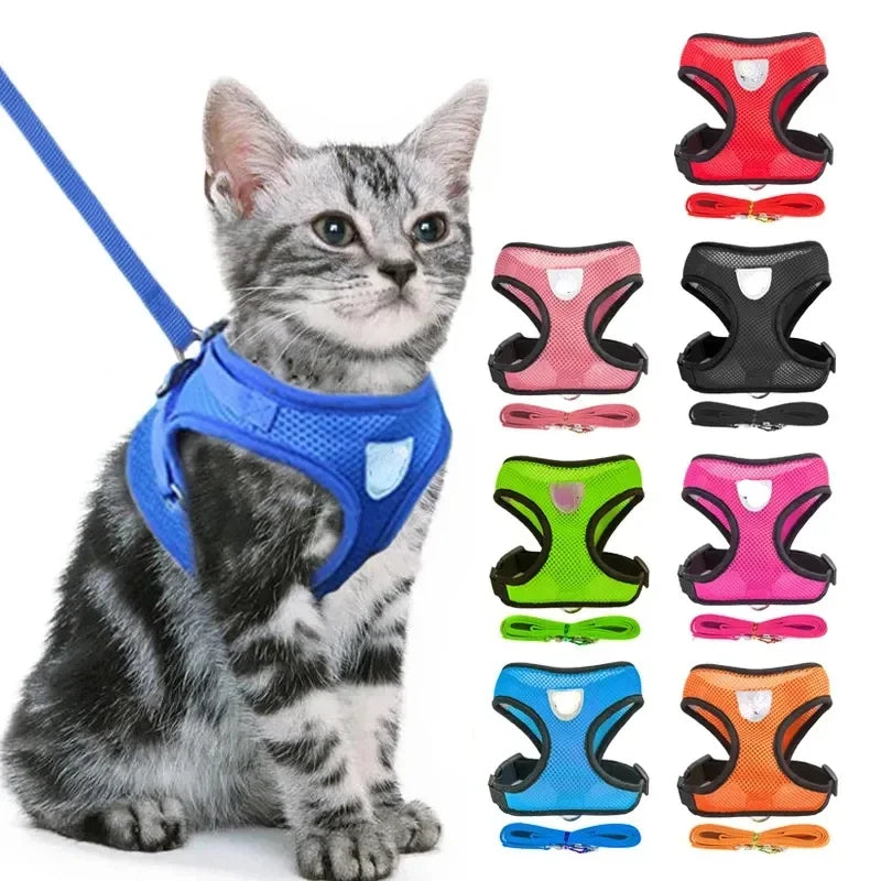 Paws Nation Cat Vest Walking Lead Leash Harness Pro