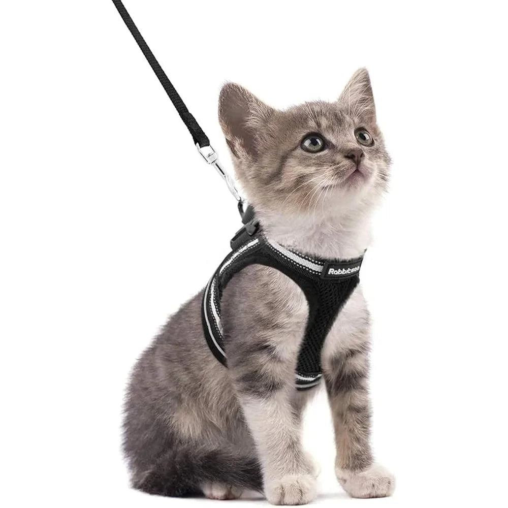 Paws Nation Cat Harness And Leash Set Escape Proof Comfort