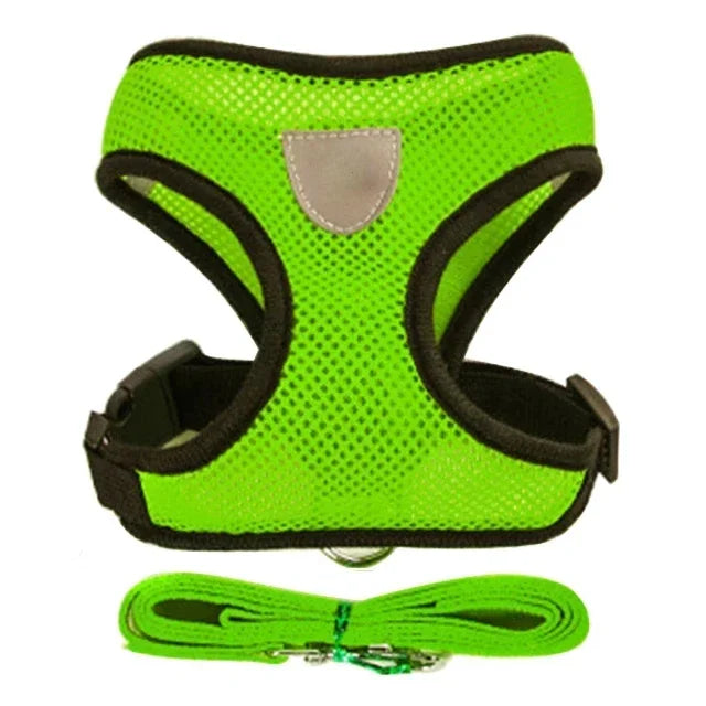 Paws Nation Cat Vest Walking Lead Leash Harness Pro