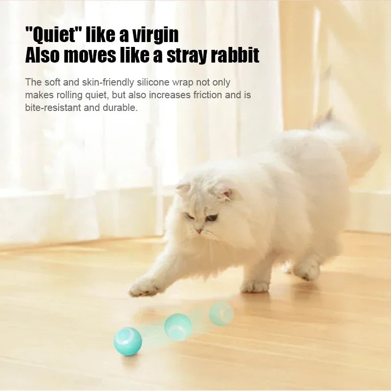 Guangdong Smart Cat Toy Automatic Rolling Ball Self Moving
