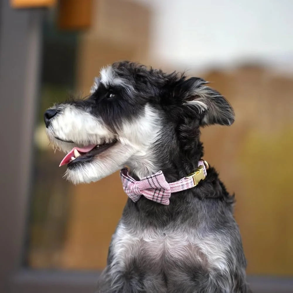 CN Fujian Cute Plaid Adjustable Small Dog Harness Set