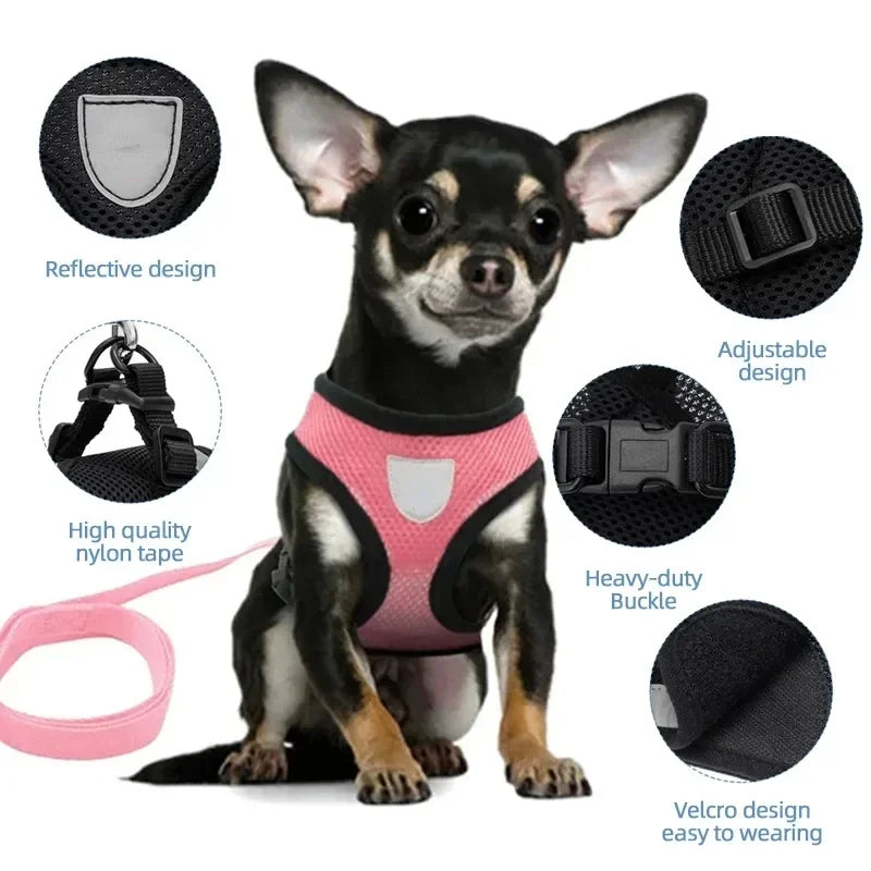 Paws Nation Cat Vest Walking Lead Leash Harness Pro
