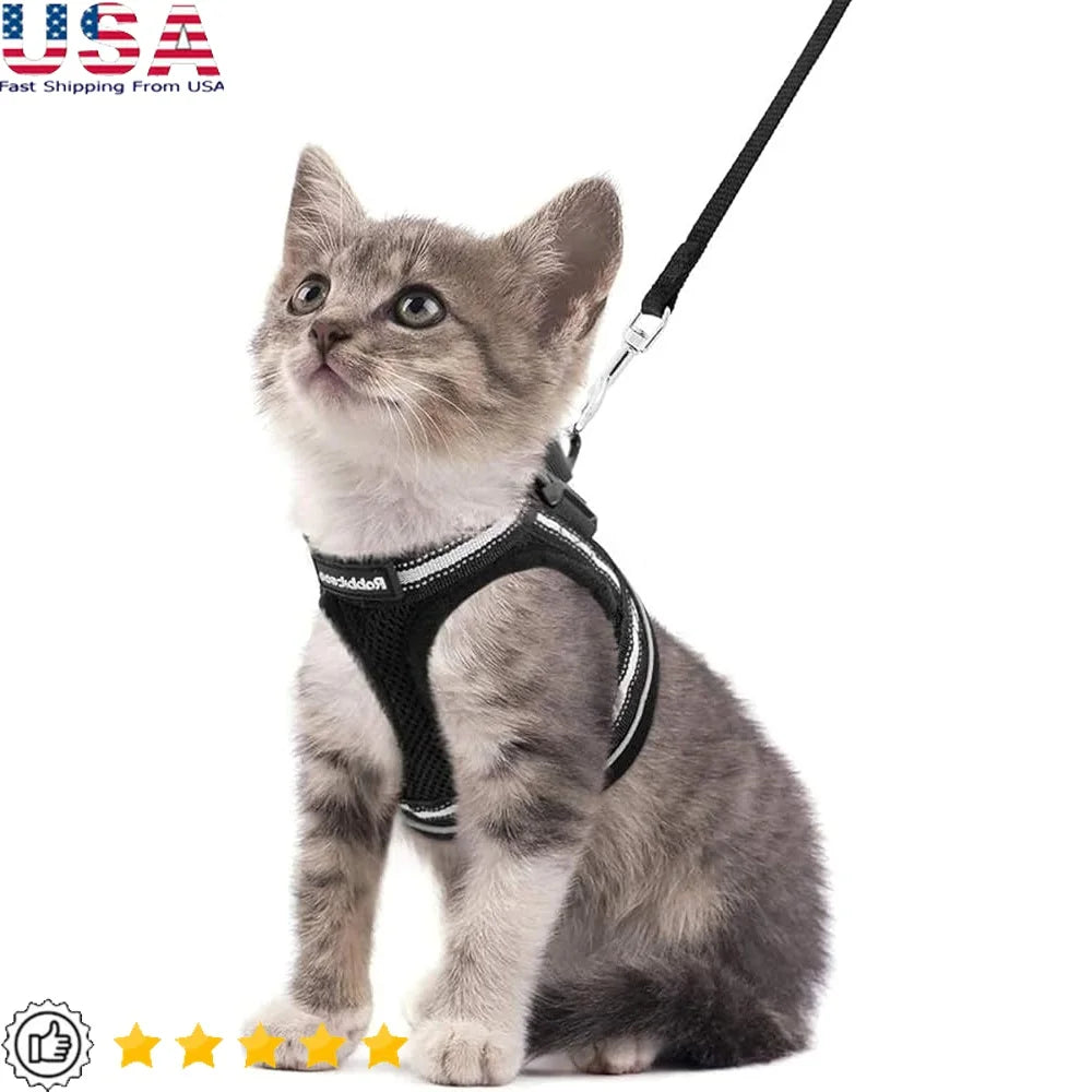 Paws Nation Cat Harness And Leash Set Escape Proof Comfort