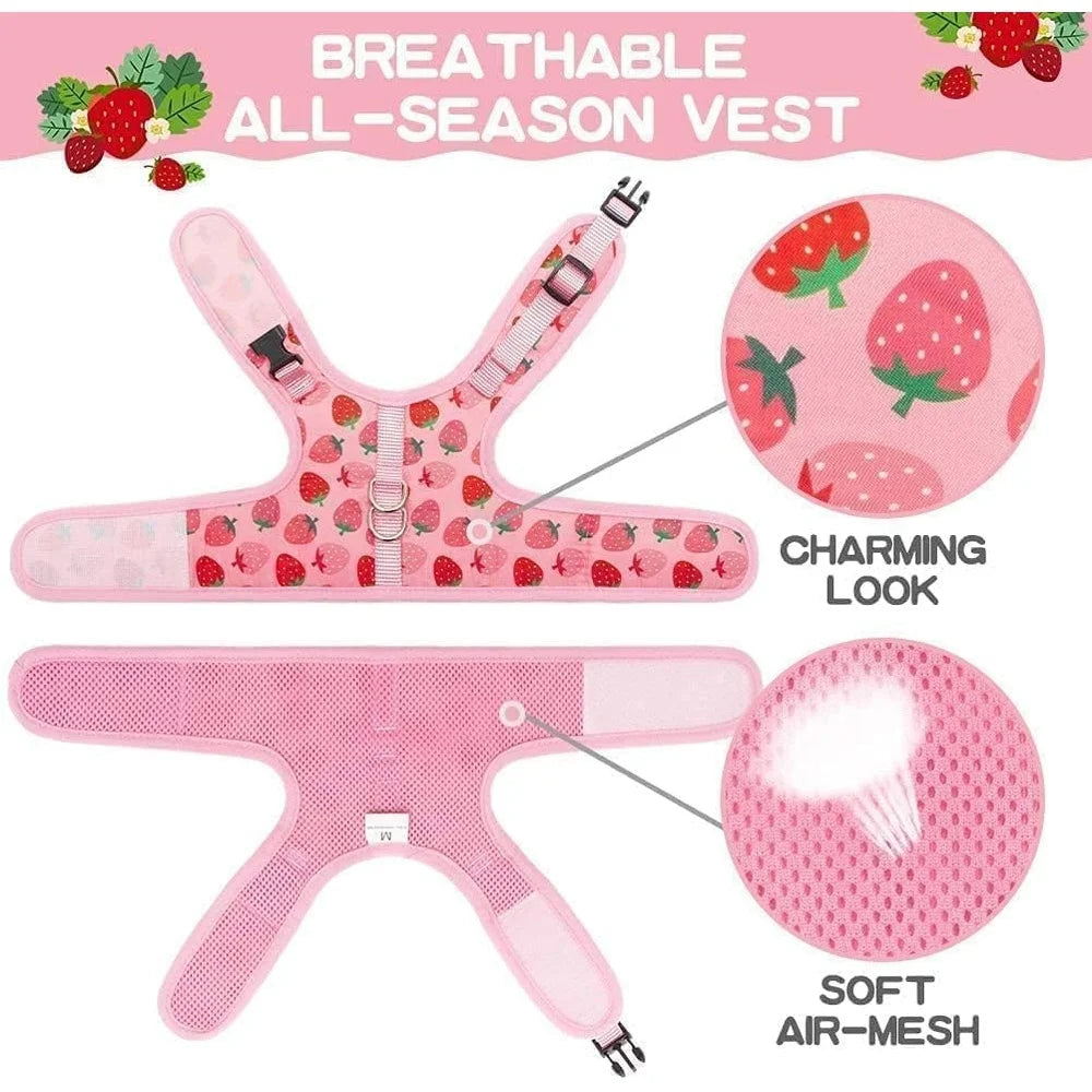 Paws Nation Escape Proof Cat Harness Breathable Mesh Leash