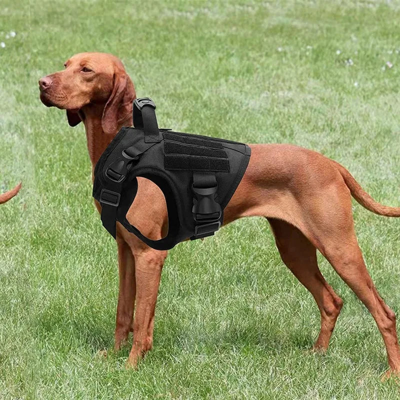Guangdong Tactical Dog Vest Nylon Water Resistant Harness