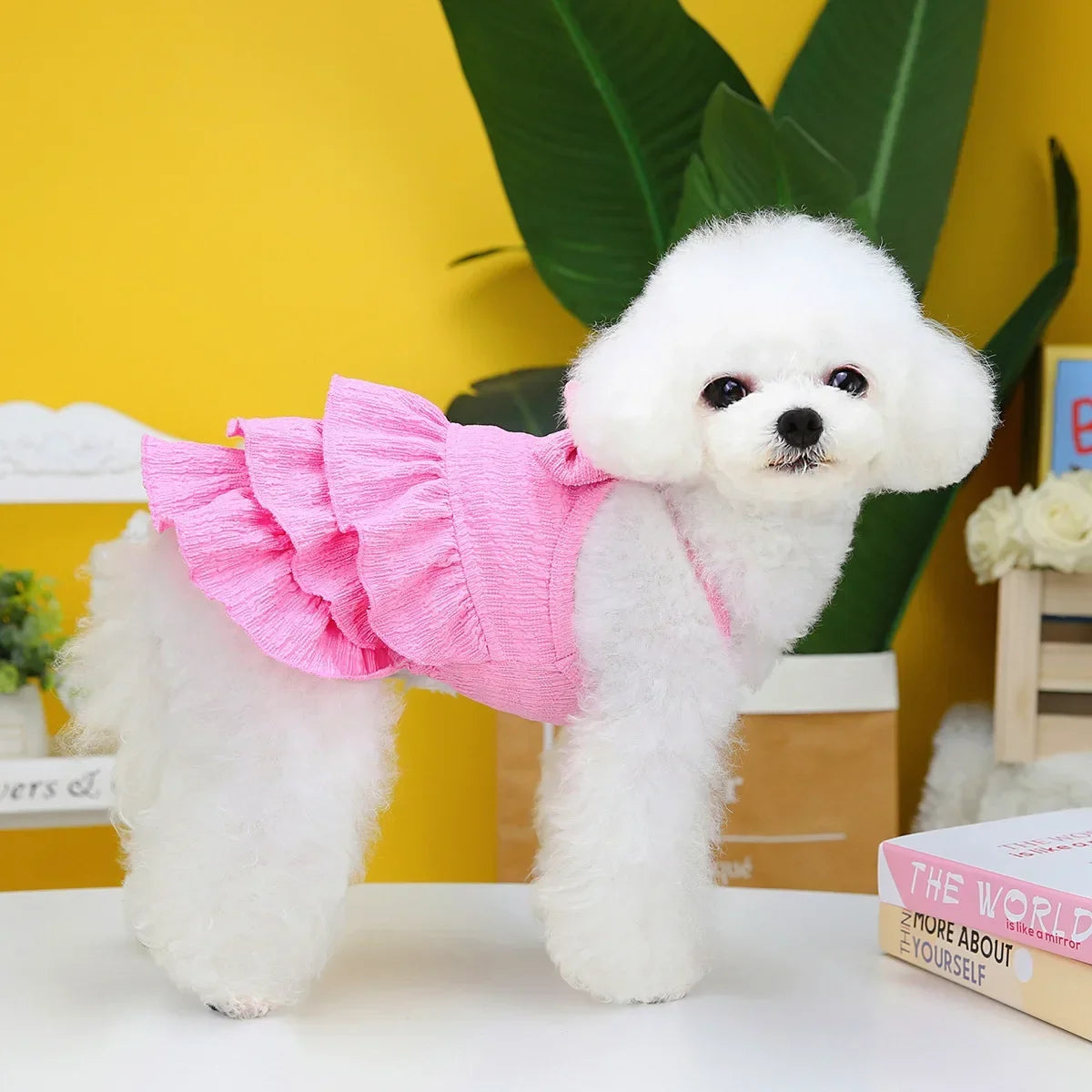 Guangdong Pet Princess Dresses For Dogs And Cats Pug