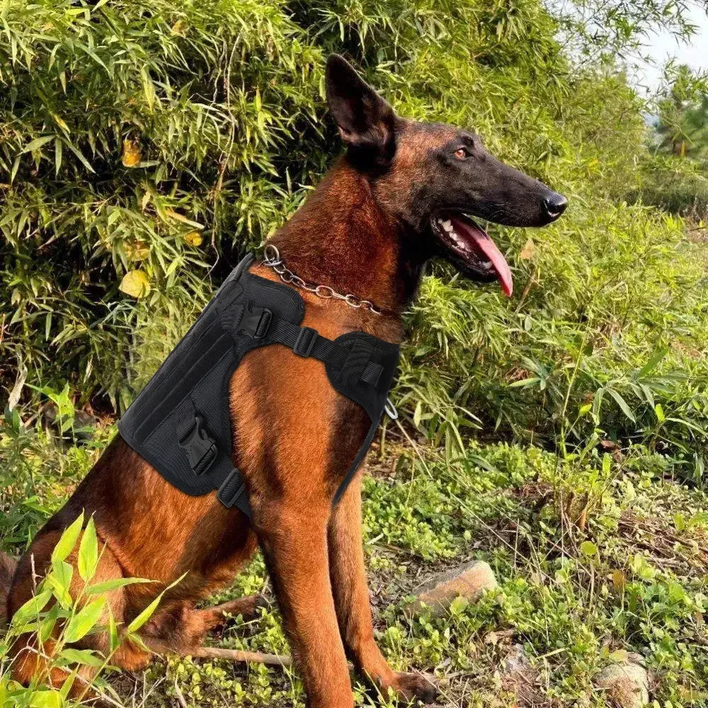 Guangdong Tactical Dog Vest Nylon Water Resistant Harness