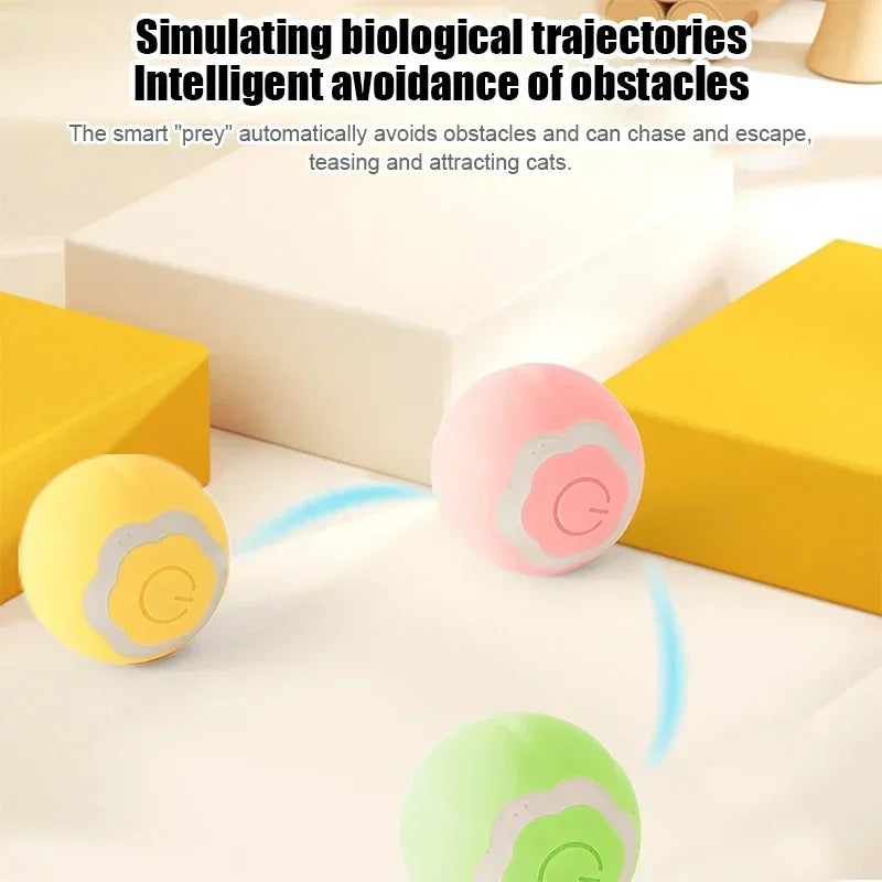Guangdong Smart Cat Toy Automatic Rolling Ball Self Moving