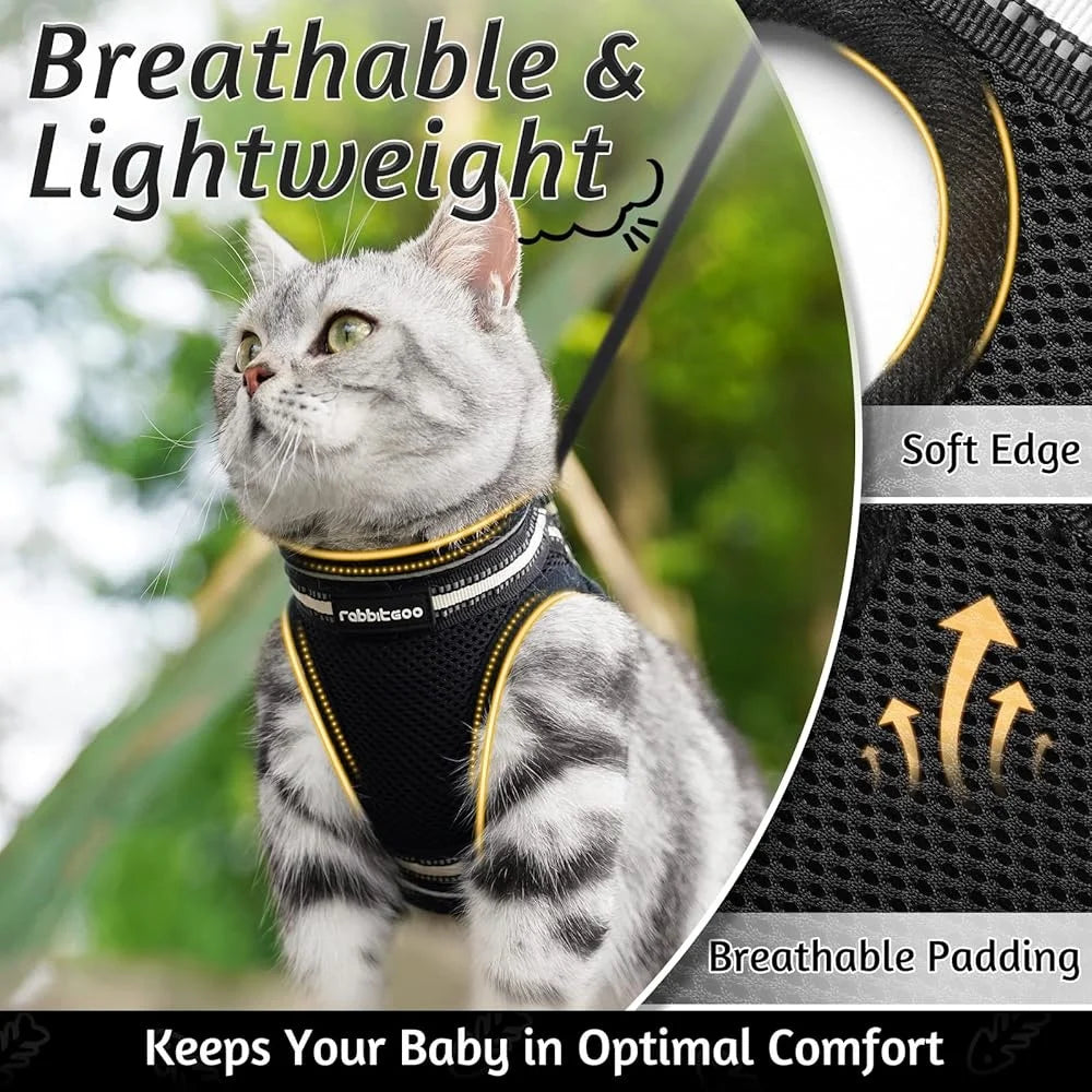 Paws Nation Cat Harness And Leash Set Escape Proof Comfort