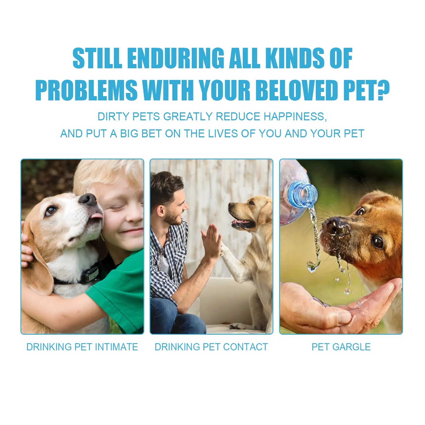 Hign Concerned Pet Toothpaste Edible Oral Care Dogs Cats