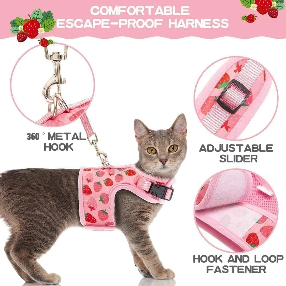 Paws Nation Escape Proof Cat Harness Breathable Mesh Leash