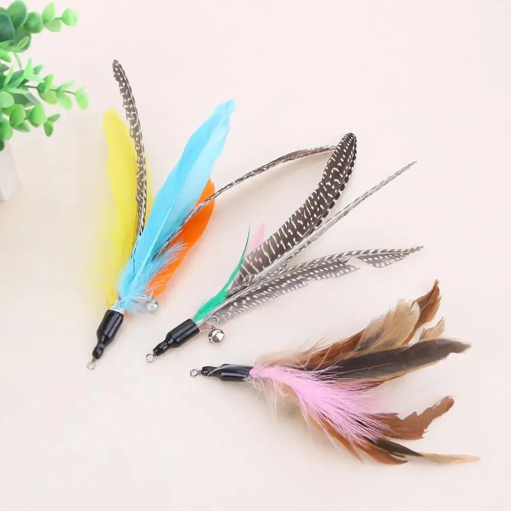Five Piece Replacement Cat Feather Toy Set For Interactive Wand