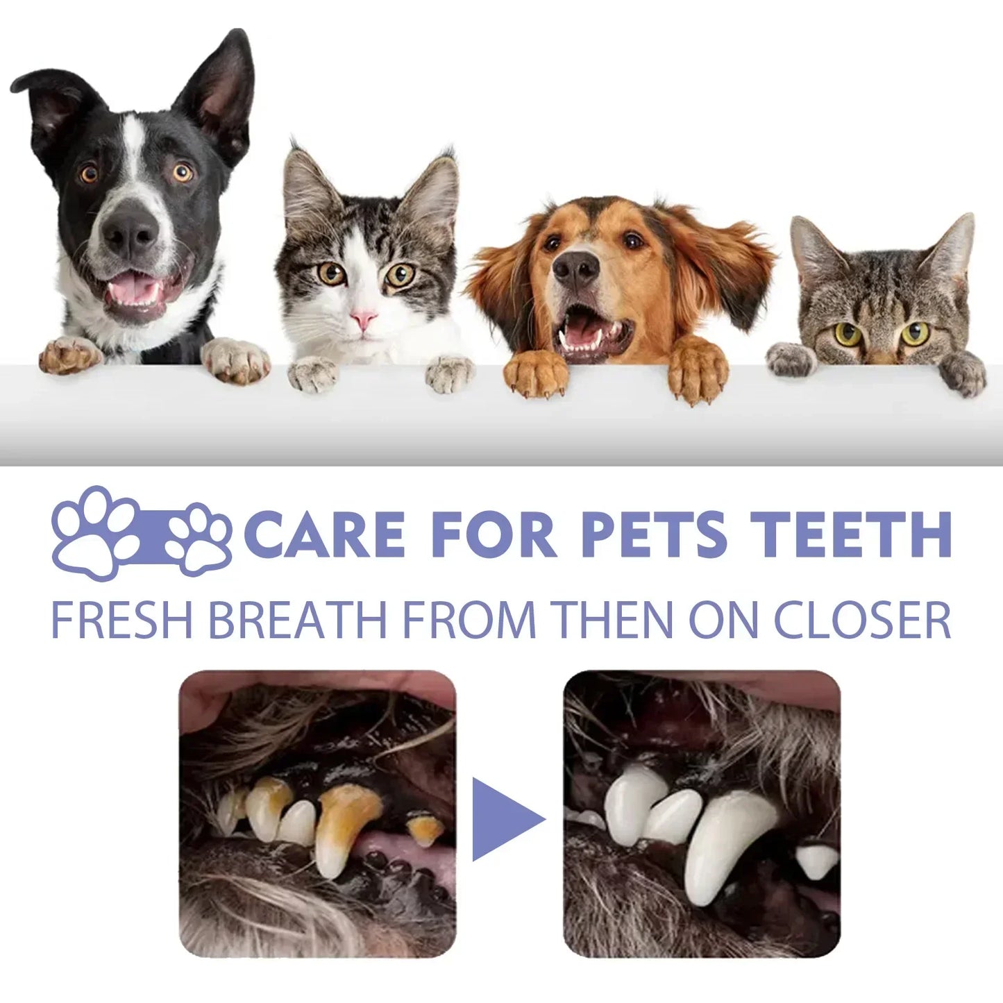 YEGBONG Pet Tooth Cleaning Spray Dogs And Cats Clean Breath