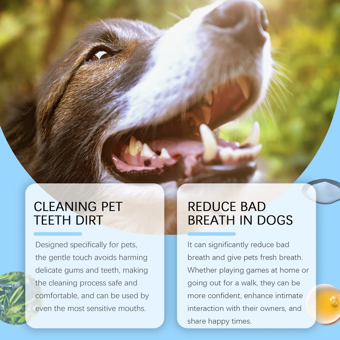 Hign-concerned Pet Toothbrush Gentle Dental Care Pen