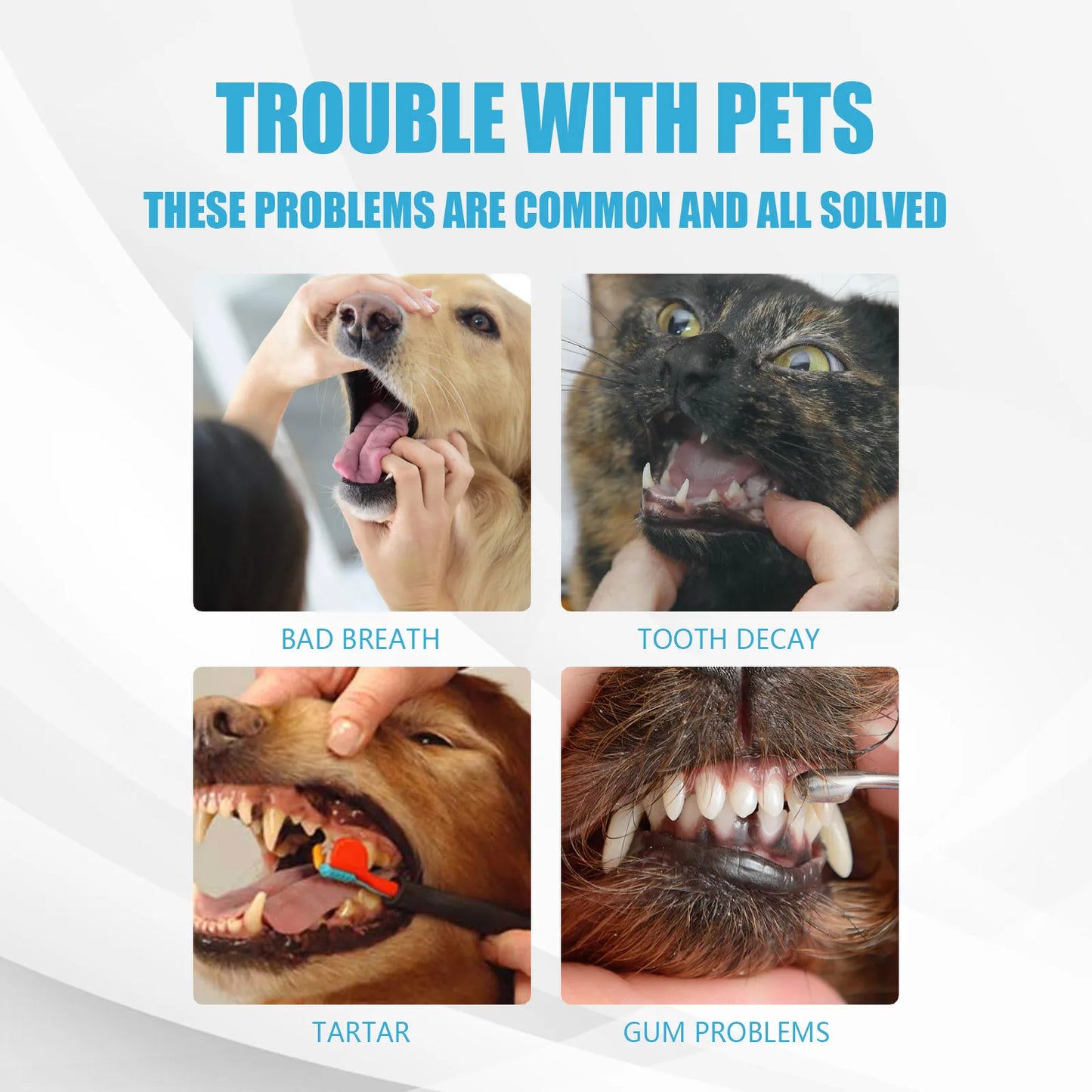 Hign Concerned Pet Toothpaste Edible Oral Care Dogs Cats
