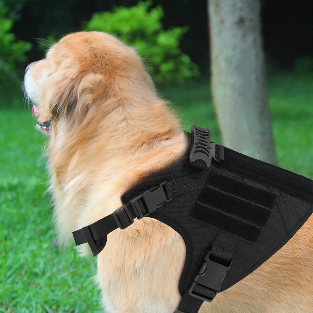 Guangdong Tactical Dog Vest Nylon Water Resistant Harness