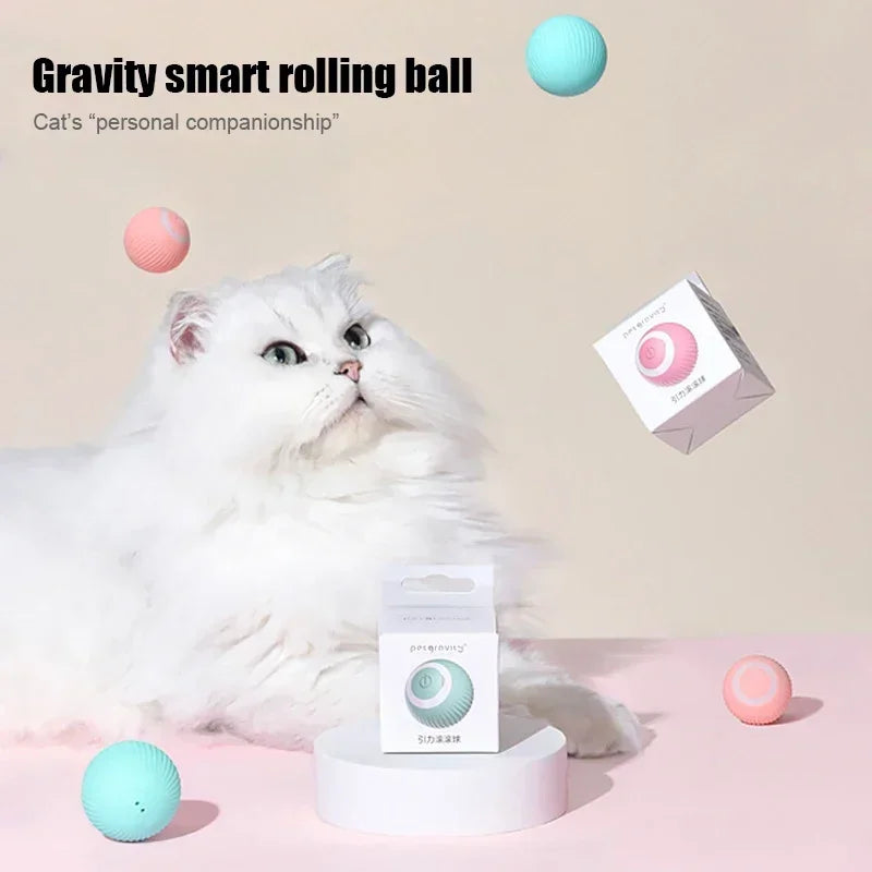 Guangdong Smart Cat Toy Automatic Rolling Ball Self Moving