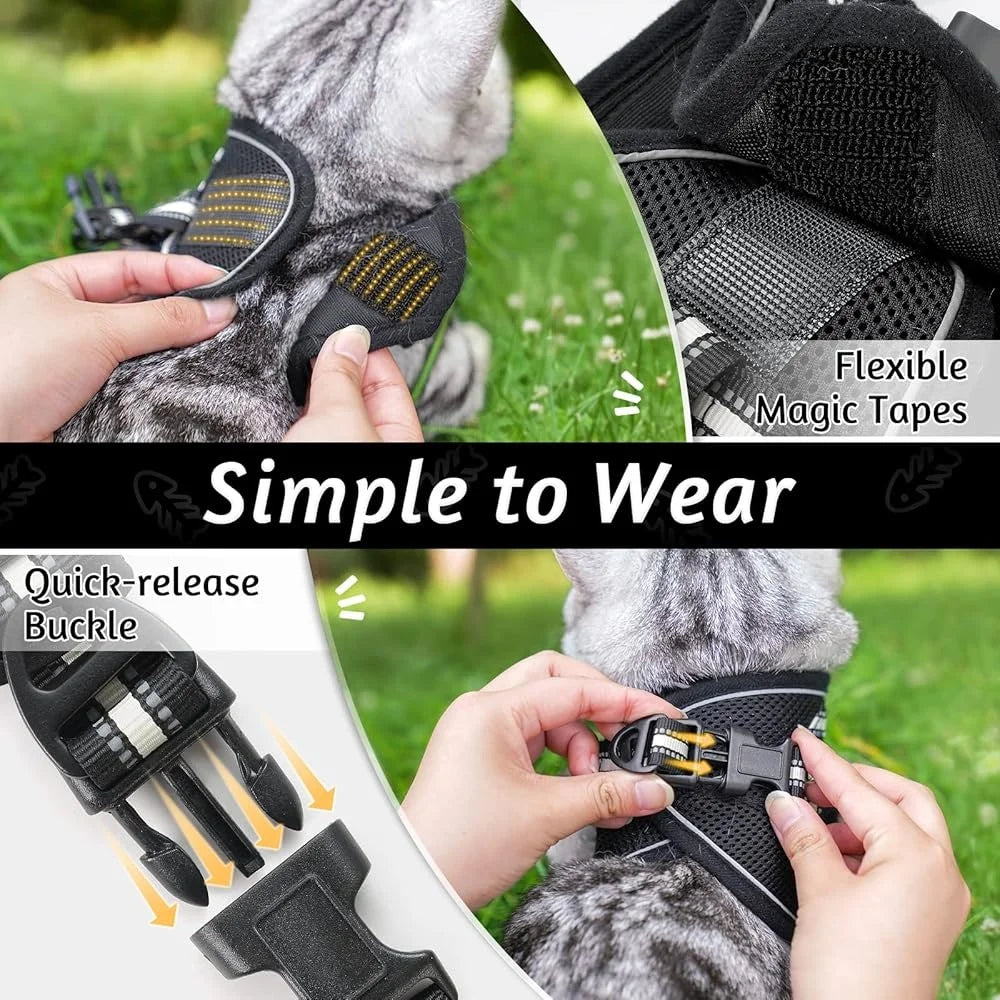 Paws Nation Cat Harness And Leash Set Escape Proof Comfort