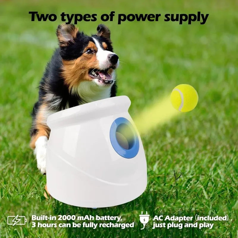 Hign-concerned Dog Automatic Ball Launcher Interactive Toy