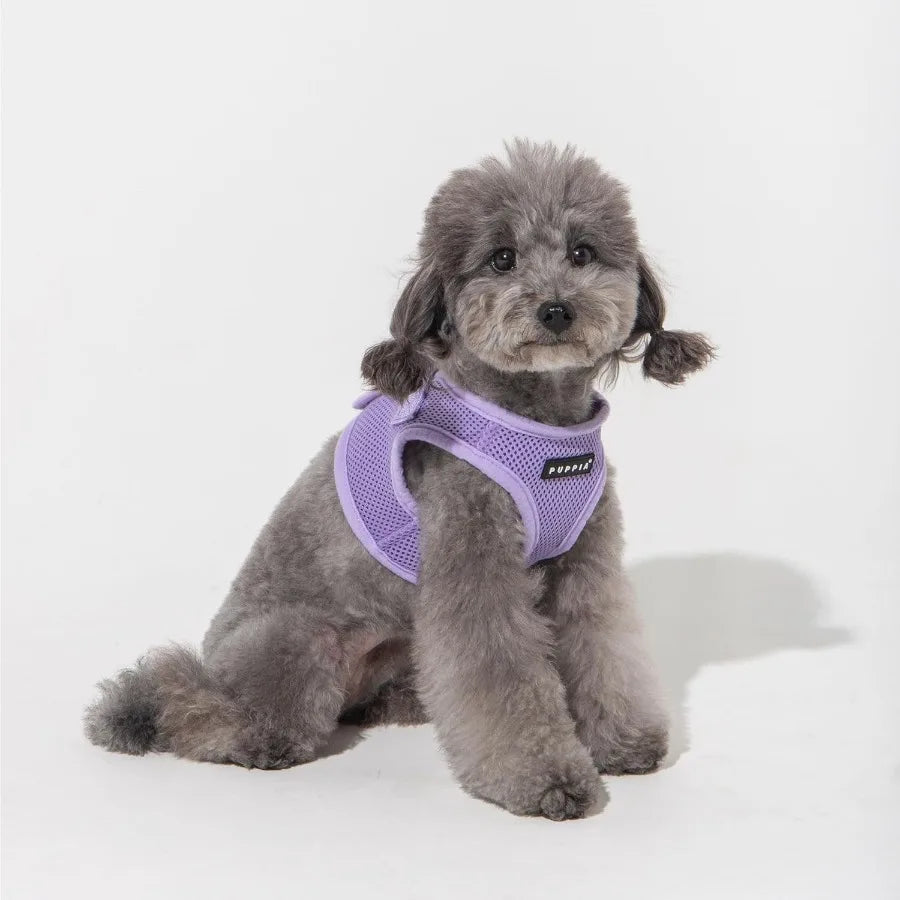 Hign Concerned Soft Vest Dog Harness Padded Mesh No Pull