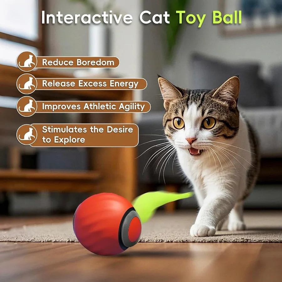 GuangdongHign-concernedChemicalIndustryBrand Cat Toy Ball 2.0 Automatic Moving Indoor