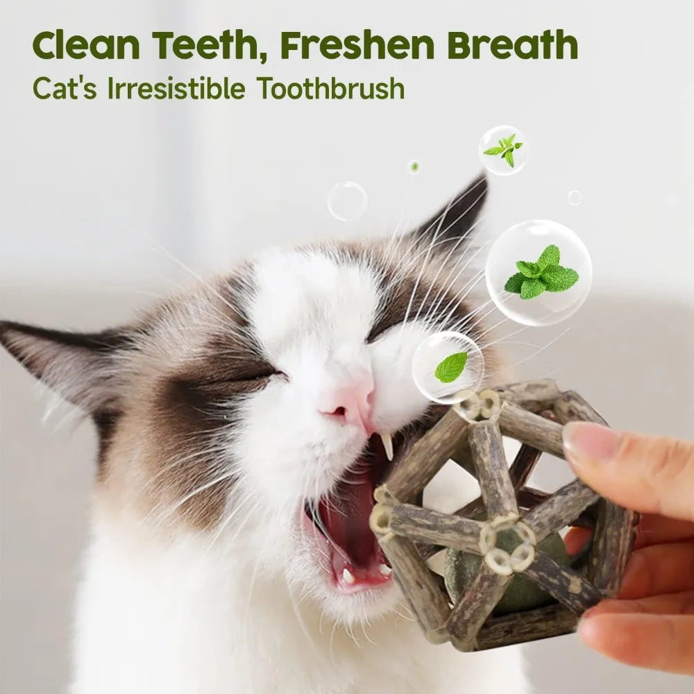 Catnip Toys Pack Three Pieces Silvervine Stick Cage And Bell Balls For Indoor Cats Teeth Cleaning