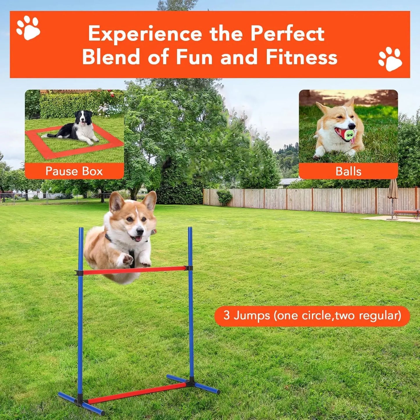 HiMISSH Dog Agility Training Set Outdoor Obstacle Course Kit