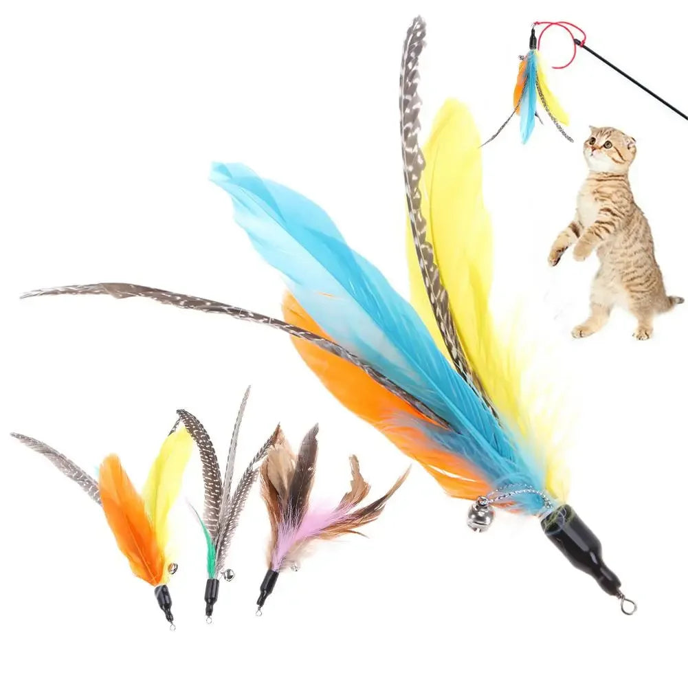 Five Piece Replacement Cat Feather Toy Set For Interactive Wand
