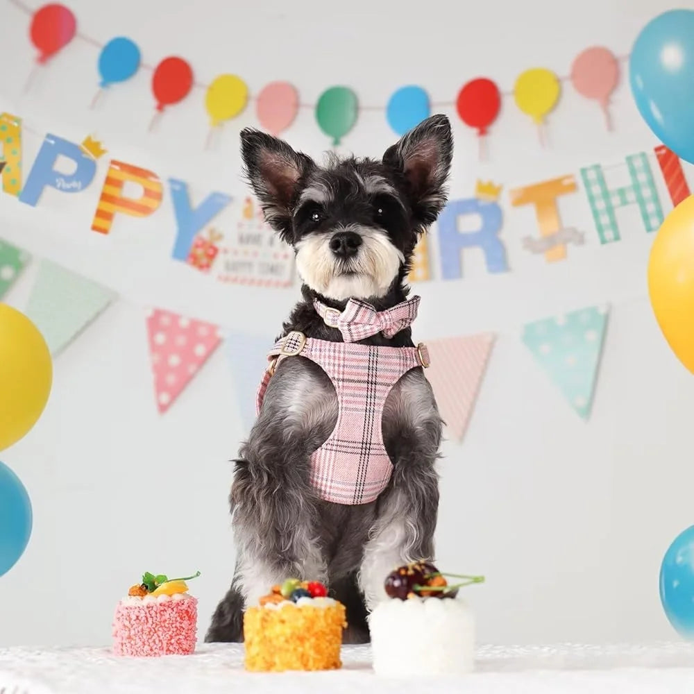 CN Fujian Cute Plaid Adjustable Small Dog Harness Set