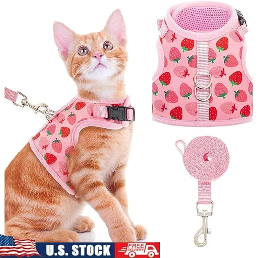 Paws Nation Escape Proof Cat Harness Breathable Mesh Leash