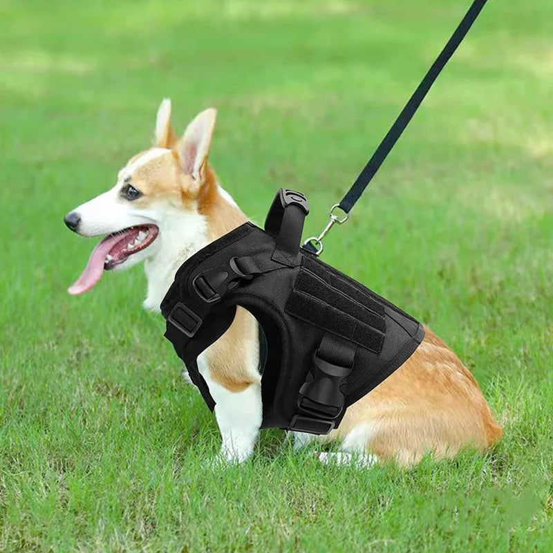 Guangdong Tactical Dog Vest Nylon Water Resistant Harness