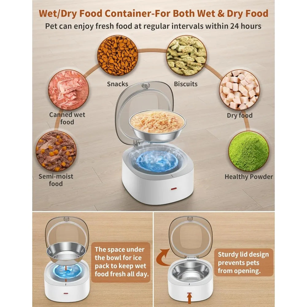 Hign-concerned Automatic Cat Feeder Timed Pet Food Feeder